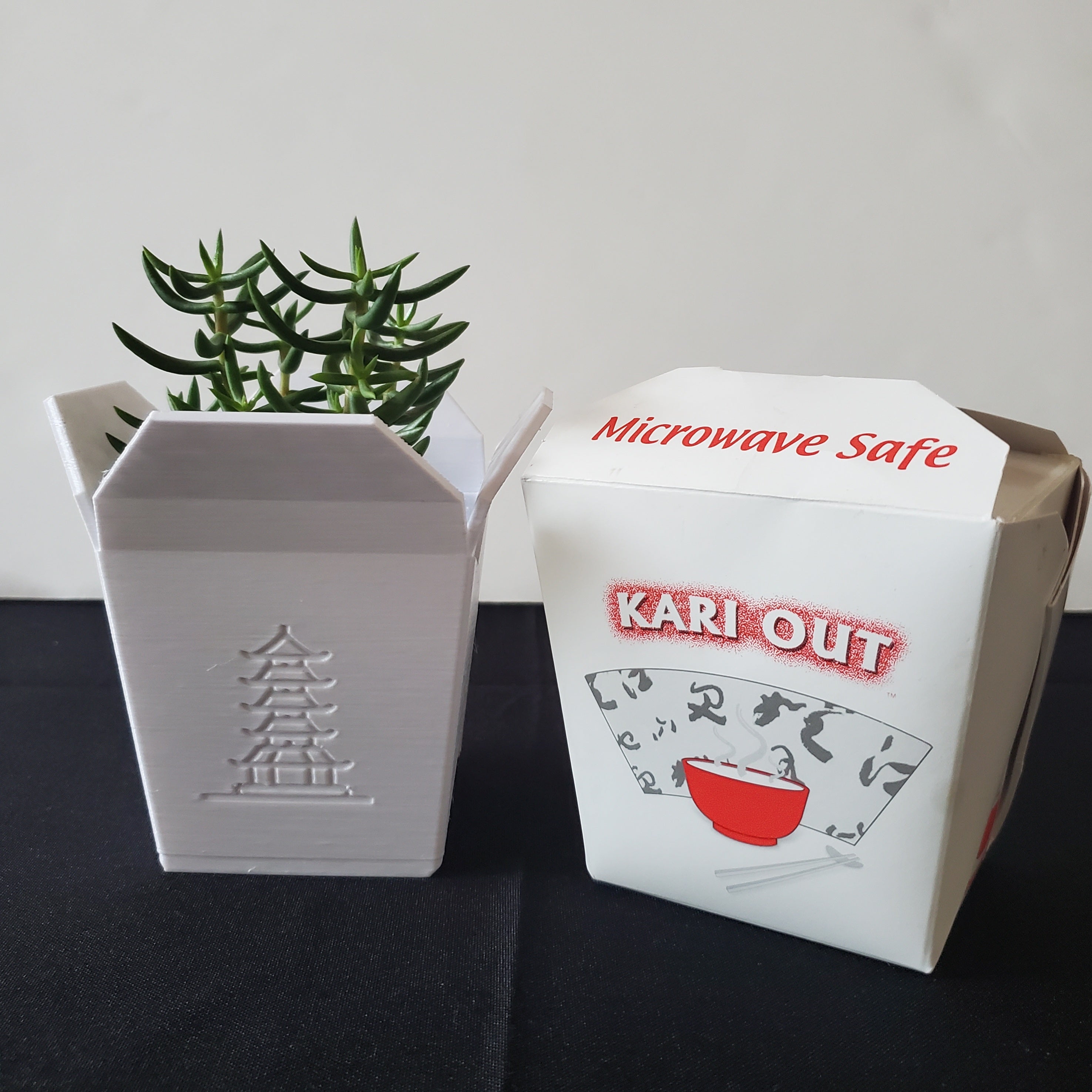 Chinese Takeout Container Planter