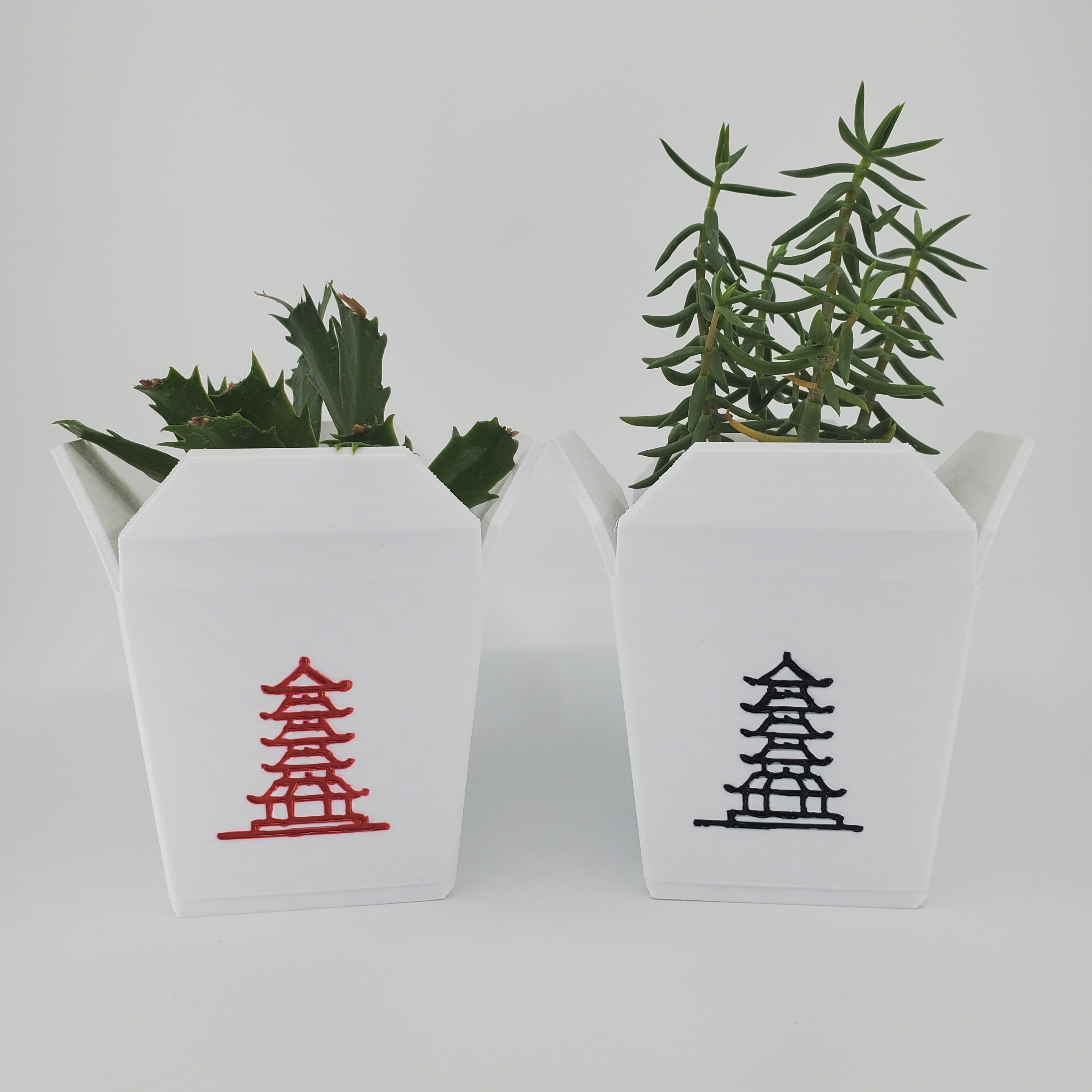 Chinese Takeout Container Planter