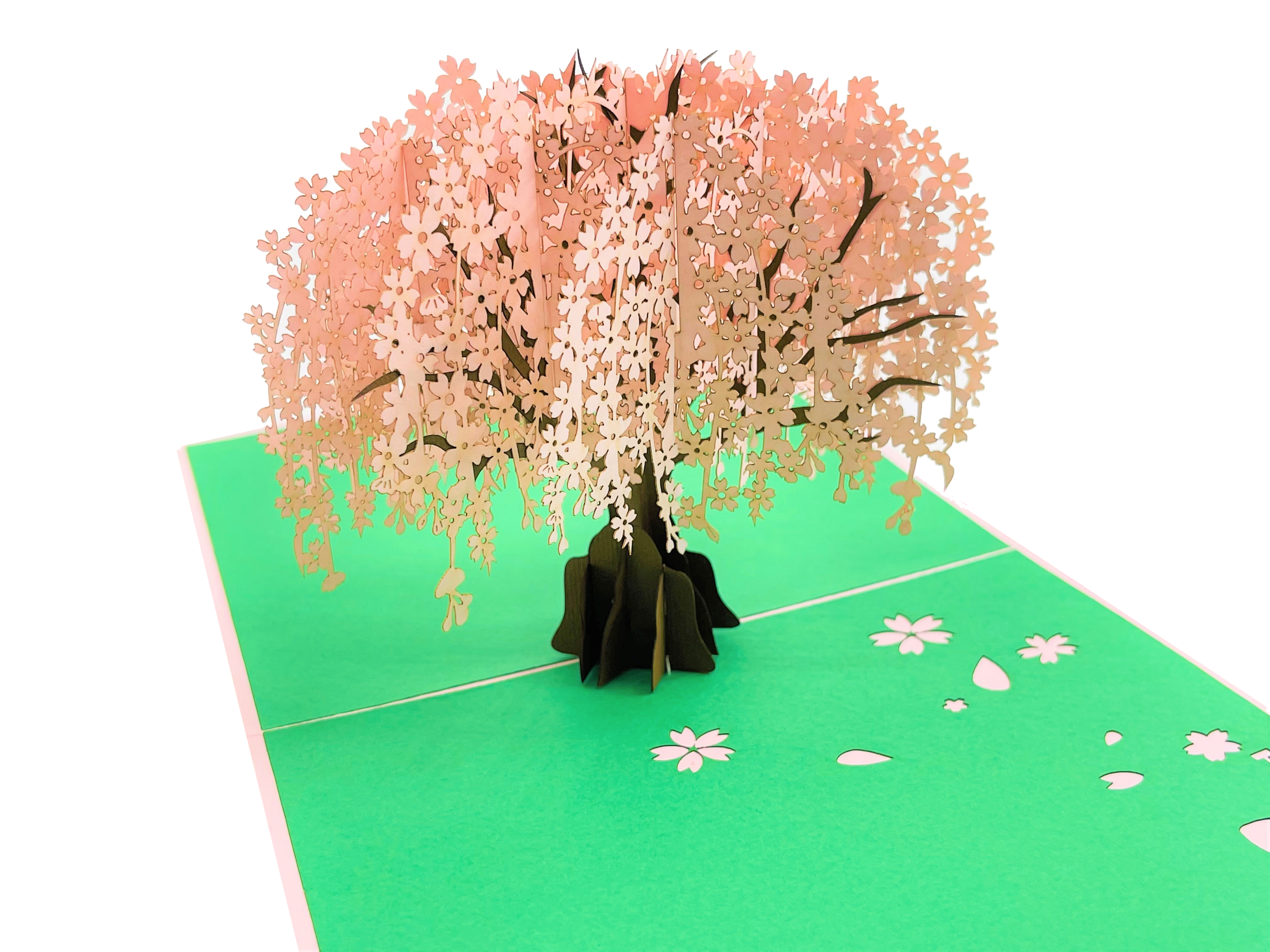 Cherry Blossom 3D Card